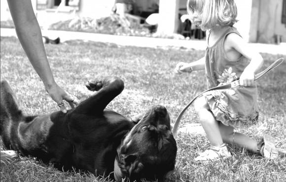 rott-et-enfant-580x370