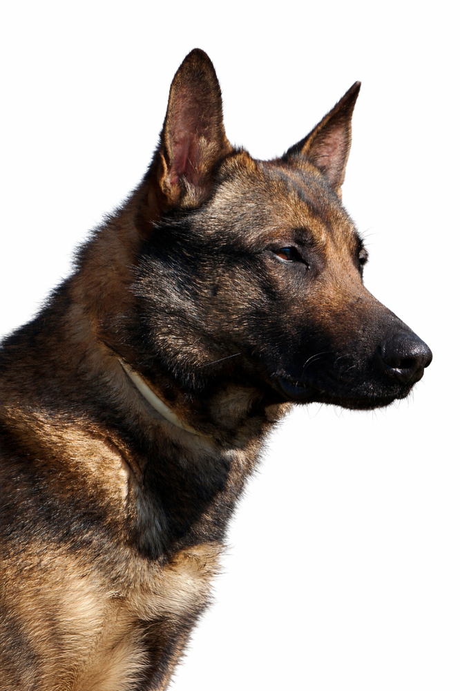 file_00000000c8c071f4b337eaedf3dcbf9c