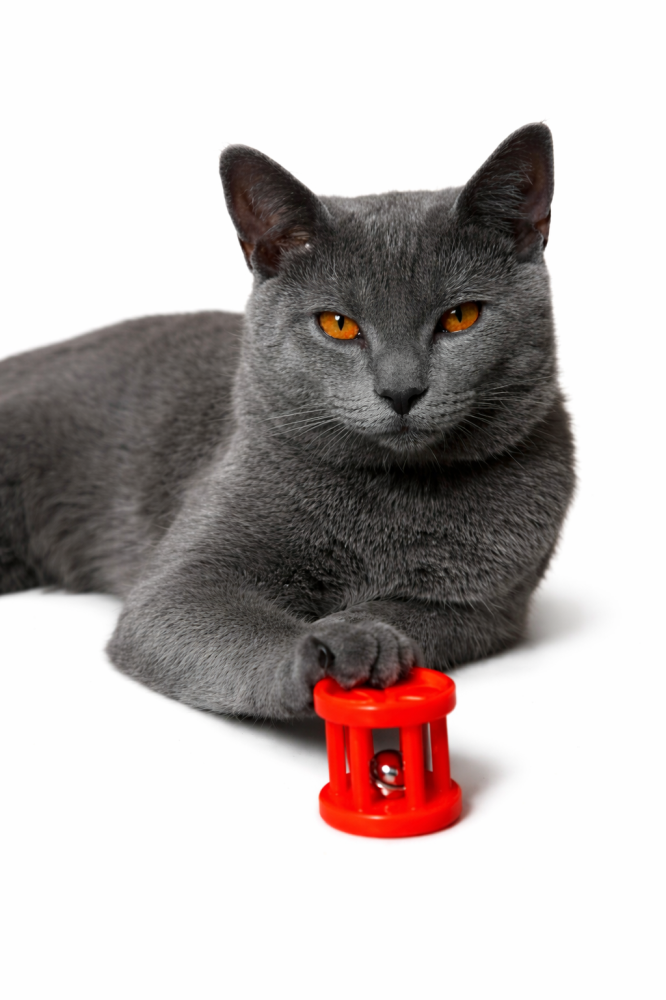 file_0000000038f872468f5cc63e285daab9