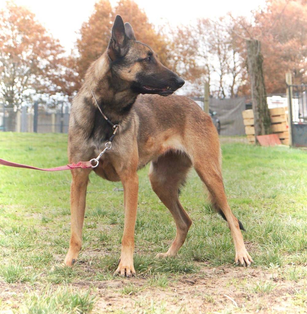 Messenger_creation_3EAC3F1B-1159-4E43-BD4C-5ECEEF93D2FA